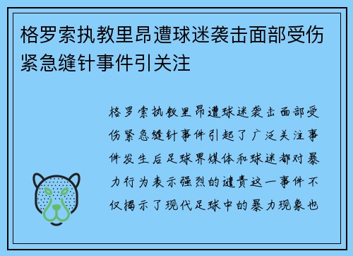 格罗索执教里昂遭球迷袭击面部受伤紧急缝针事件引关注